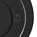 Titan Fitness Pair 10 LB Black Economy Olympic Bumper Plates, Rubber with Steel Insert