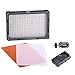 NEEWER® CN-304 304PCS LED Dimmable Ultra High Power Panel Digital Camera / Camcorder Video Light, LED Light for Canon, Nikon, Pentax, Panasonic, SONY, Samsung and Olympus Digital SLR Cameras