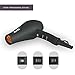BERTA Professional Hair Dryer 1875W Negative Ions Hair Blow Dryer Far Infrared Heat 2 Speed and 3 Heat Setting AC Motor (Standard version)