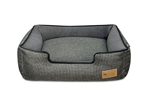 Best pet lifestyle and you