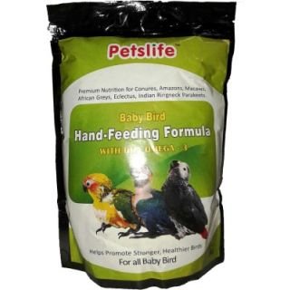 baby parrot food