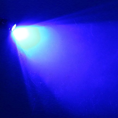 Rumfo 12V-24V 9W Boat Drain Plug Light 6 LED Boat Drain Plug Light Marine Lighting with Waterproof Connector for Fishing Swimming Diving