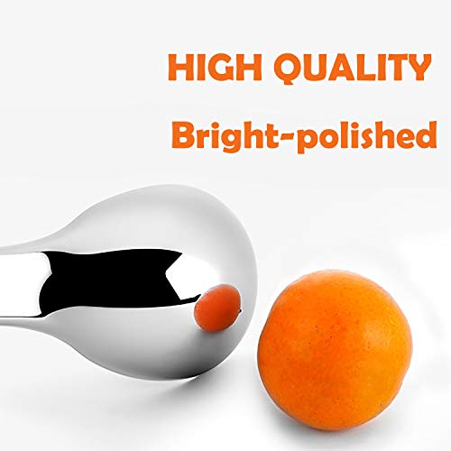 MYLIFFRI Ice Cream Scoop, Heavy Duty Durable Scooper with NonSlip Eco