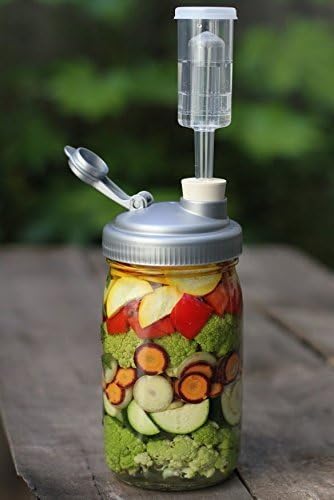 FARMcurious Mason Jar Mold Free Fermenting Kit, Grey, by FARMcurious