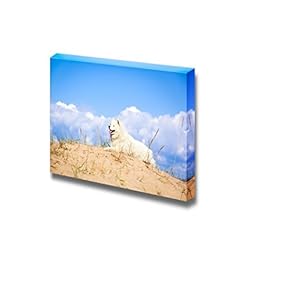 Canvas Prints Wall Art - Samoyed Dog in The Wild | Modern Wall Decor/Home Decoration Stretched Gallery Canvas Wrap Giclee Print & Ready to Hang - 12" x 18"