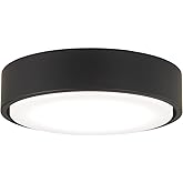 Minka-Aire Xtreme H2O Light Kit For F886L - Coal - K9886L-CL