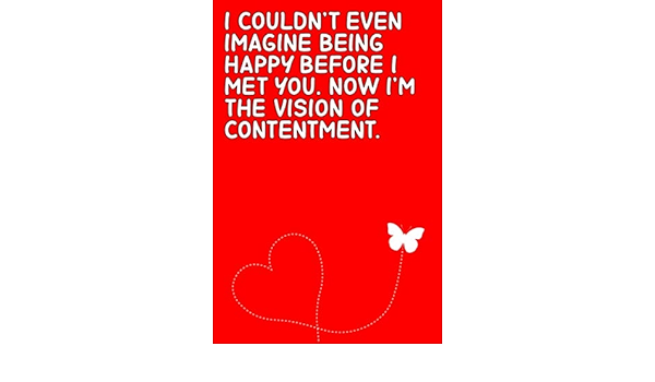 I Couldn T Even Imagine Being Happy Before I Met You Now I M The Vision Of Contentment Valentines Day Notebook Journal Gifts Birthdays Her Him Girlfriend Boyfriend Husband Wife Fiancee