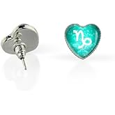 WUSHIMAOYI 12 Constellations Earrings Zodiac Jewelry Zodiac Sign Stud Earrings Customize Your Own Style