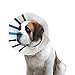 KONG E-Collar for Dogs, Extra Large Clear
