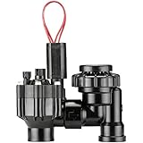 Hunter 3/4" PGV-ASV Anti-Siphon Valve