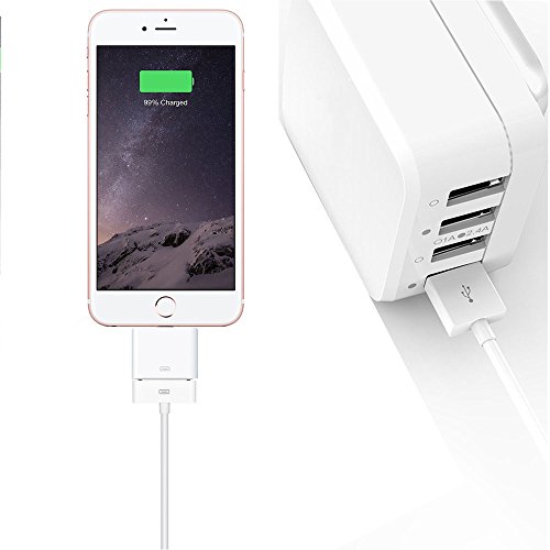 30 Pin Adapter | 8 Pin Male to 30 Pin Female | Works with Smartphones, Cars, Docking Stations and Mo - //coolthings.us