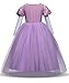 LENSEN Tech Princess Rapunzel Dress Cosplay Party Long Sleeve Costume (Purple, 3T)