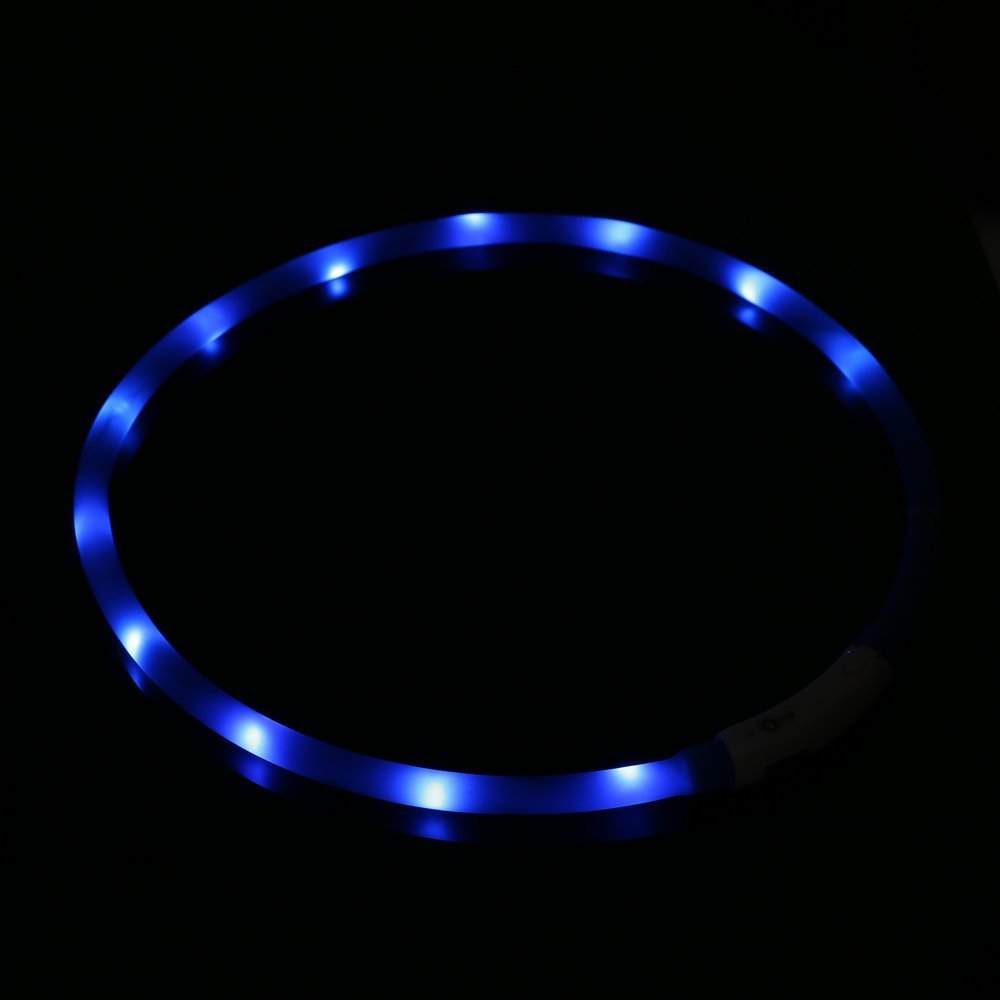 ZOGIN Collar de perro LED, collar de seguridad recargable USB para perro gato y otro animal doméstico, color azul