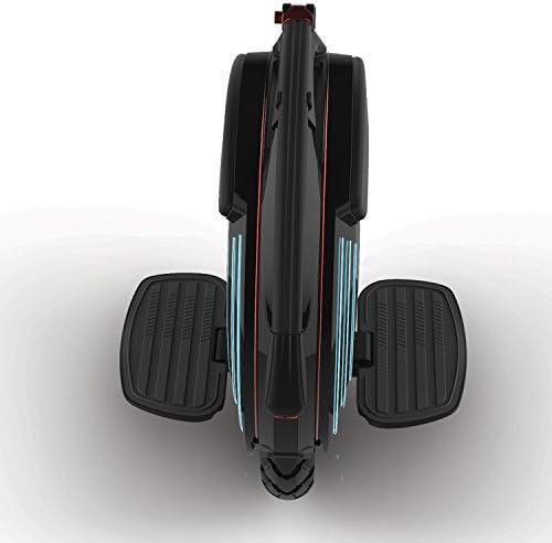 InMotion V10 Gyroroue électrique Mixte Adulte, Noir, Unique