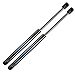 ARANA 4182 Front Hood Lift Support Gas Struts Shock for 2004-2012 Nissan Titan/ 2004 Nissan Pathfinder/ 2005-2013 Nissan Armada, Set of 2 Gas Spring