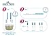 Easy@Home 25 LH Ovulation Test Strips and Smart Basal Thermometer Kit, The Reliable Ovulation Predictor Kit (25 LH + EBT-300)