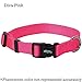 Nylon Prism Snap-N-Go Collar by Weaver Leather