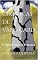 Livro As Crônicas de Vanguard: O Aniversario da Princesa (As Crônicas de Vangard Livro 1)