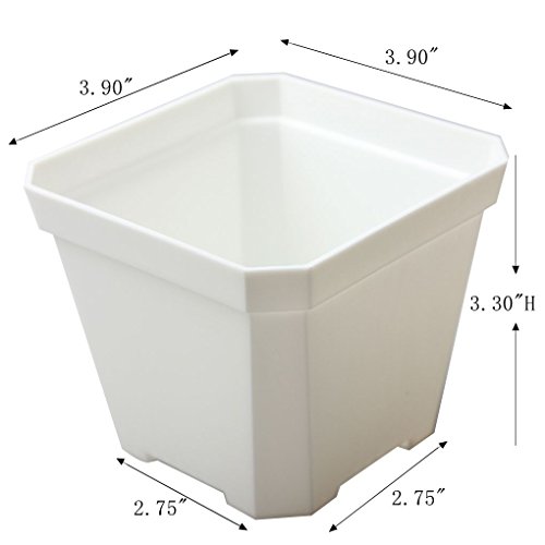 BangQiao 3.90 Inch Plastic Flower Pots for Plants,Cutting,Seedlings, Pack of 10 (white)