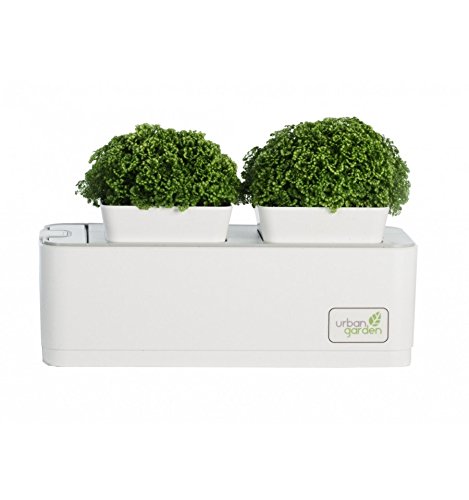 Urban Garden - Huerto Urbano Inteligente (Mini Smart Garden JK ...