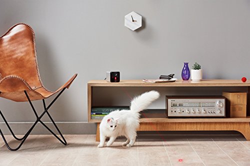 Petcube Play Pet Camera with Interactive Laser Toy. Monitor Your Pet Remotely with HD 1080p Video, Two-Way Audio, Night Vision, Sound and Motion Alerts. Compatible with Alexa (Certified Refurbished)