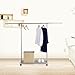 Lifewit Commercial Grade Clothes Rack Rolling Single Rod Garment Rack with Shelf, Stainless Steel