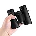 Wingspan Optics FieldView 8X32 Compact Binoculars for Bird Watching. Compact and Light Weight. Waterproof for All Weather. for Bird Watching, Watching Wildlife, or Sports Games and Concerts.