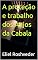 Livro A proteção e trabalho dos Anjos da Cabala (Série Anjos da Luz Livro 27)