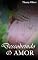 Livro Descobrindo o Amor (Amores Livro 2)