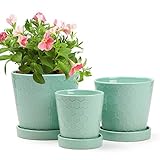 BUYMAX Succulent Planter –4”+5”+6” inch