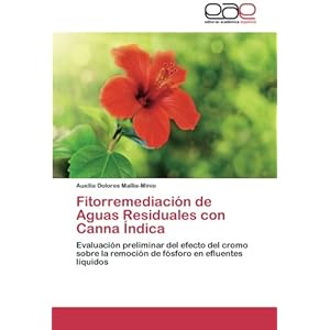 Fitorremediación de Aguas Residuales con Canna Índica: Evaluación preliminar del efecto del cromo sobre la remoción de fósforo en efluentes líqu