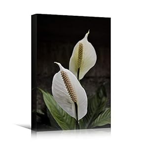 signwin Canvas Wall Art White Fields Bohemian Colorful...