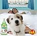 Fresh Breath Plaque Remover Gel 100% All Natural Solution for Dog Oral Care Cleans Dog & Cat Teeth, Gums & Tongue Wipes Out Plaque & Tartar Without Brushing. (4 oz) Vet Approved