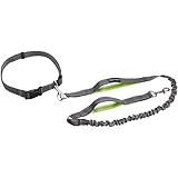 AmazonBasics Dual-Handle Bungee Dog Leash - 4-Foot, Green