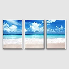 Framed Canvas Wall Art for Living Room, Bedroom Ocean Sea Beach Canvas Prints for Modern Home Decoration Ready to Hang - 16"x24"x3 Panels