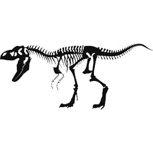 Esqueleto t rex los dinosaurios pared pared adhesivos pegatinas arte 02
