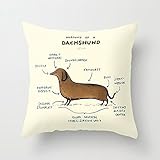 My Honey Pillow Anatomy Of A Dachshund Throw Pillow By Sophie Corriganfor Your Home