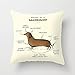 My Honey Pillow Anatomy Of A Dachshund Throw Pillow By Sophie Corriganfor Your Home