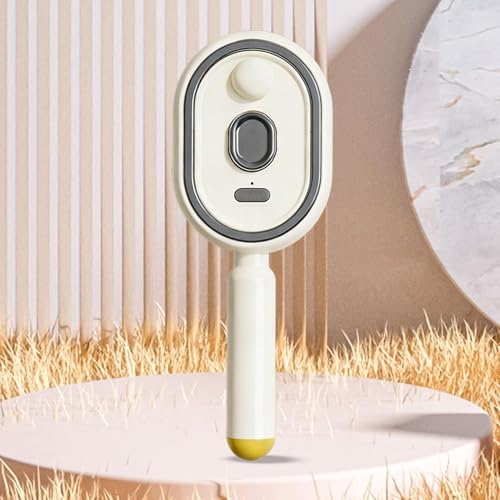 Electric Steam Brush for Hair, Detangling Steam Brushes with Oil, 2-in-1 Misting Hair Brush with Water Spray, Reduce Frizz, Nourishes Hairs, Anti-Static