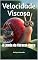 Livro Velocidade Viscosa: A Lenda do Caracol-Carro
