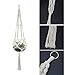 WIWAPLEX Macrame 2 Pack Cotton Rope Indoor Outdoor, 4 Legs Plant Hanger Brackets, Flower Pot Hanging Plant Holder for Home Decorations 40 Inches(White)