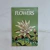 Flower - A Golden Guide