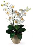 Double Stem Phalaenopsis Silk Orchid Arrangement