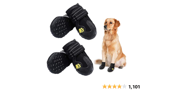 doggie boots amazon