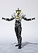 Bandai Tamashii Nations S.H. Figuarts Night Rogue 