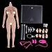 Flameer 1/6 Scale Seamless Female Figure Body Steel Skeleton for Phicen 27cm Height Normal Skin