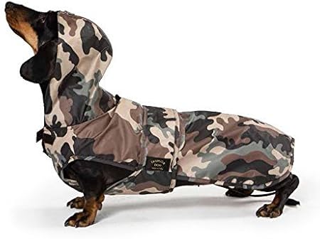 sausage dog in a raincoat