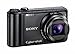 Sony Cyber-shot DSC-H55 14.1MP Digital Camera with 10x Wide Angle Optical Zoom with SteadyShot Image Stabilization and 3.0 inch LCD (Black) (Discontinued by Manufacturer)