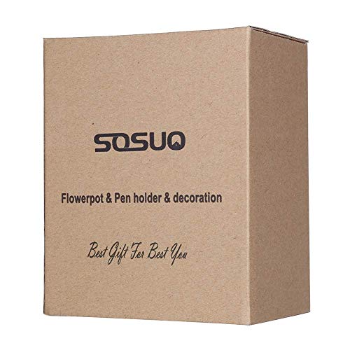 image for SOSUO Multifunction Moive Baby Groot Planter Pen Container Guardians o