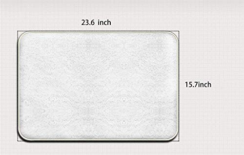 Weerbar Non Slip Decorative Door Mat Outdoor Indoor, Indoor Doormat Mud Absorbent Rubber Rugs Front Doormats Office Doormat Bathroom Mats Chemical Flask Laboratory Floor Mat Coral Fleece Home Decor